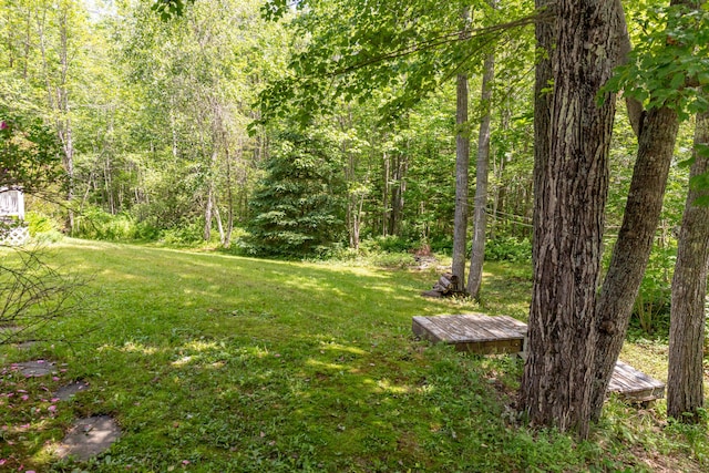 26 Spruce St, Bucksport, ME 04416 - view of green lawn with a forest view