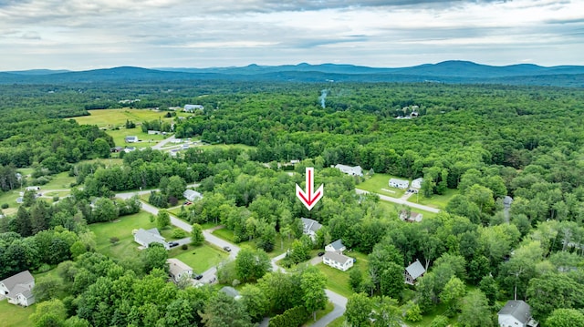 26 Spruce St, Bucksport, ME 04416 - aerial view of mountains and a heavily wooded area