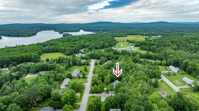 26 Spruce St, Bucksport, ME 04416 - drone / aerial view of a water and mountain view and a forest