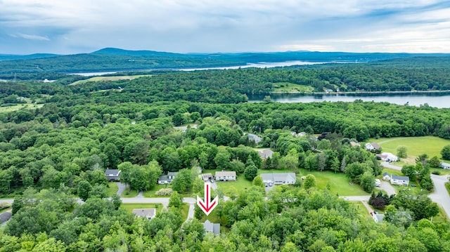 26 Spruce St, Bucksport, ME 04416 - bird's eye view of a forest and a nearby body of water