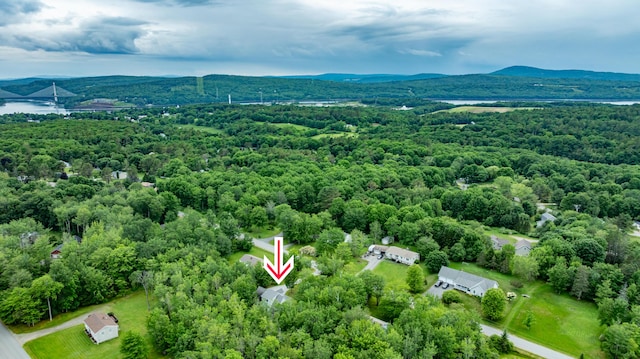26 Spruce St, Bucksport, ME 04416 - bird's eye view of a forest