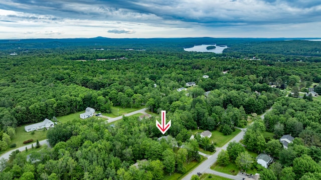 26 Spruce St, Bucksport, ME 04416 - aerial view of property and surrounding area featuring a forest