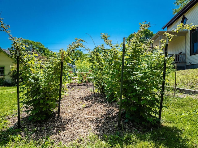 21 Elm St, Belfast, ME 04915 - view of yard