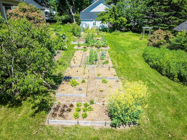 21 Elm St, Belfast, ME 04915 - view of green lawn with a vegetable garden