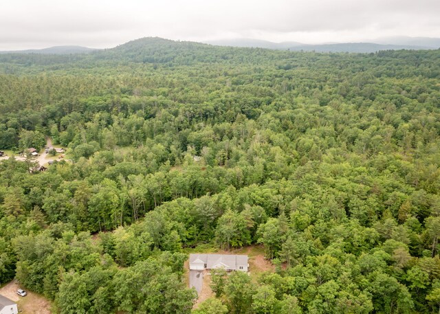 22 Tucker Rd, Limington, ME 04049 - photo 46