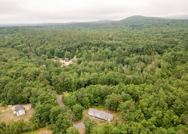22 Tucker Rd, Limington, ME 04049 - photo 47