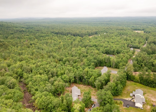 22 Tucker Rd, Limington, ME 04049 - photo 52