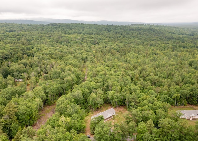 22 Tucker Rd, Limington, ME 04049 - photo 53