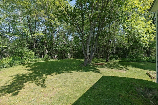 226 Seal Harbor Rd, Saint George, ME 04859 - view of green lawn