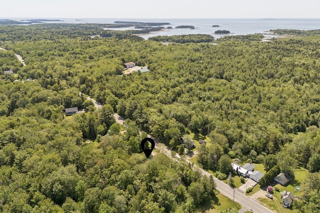 226 Seal Harbor Rd, Saint George, ME 04859 - aerial view of a forest and a large body of water