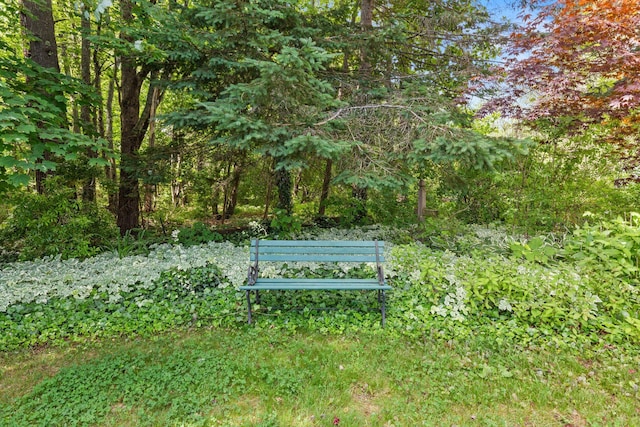 12 Green Needle Dr, Scarborough, ME 04074 - photo 39