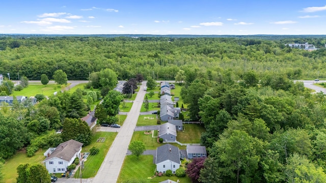 12 Green Needle Dr, Scarborough, ME 04074 - photo 43