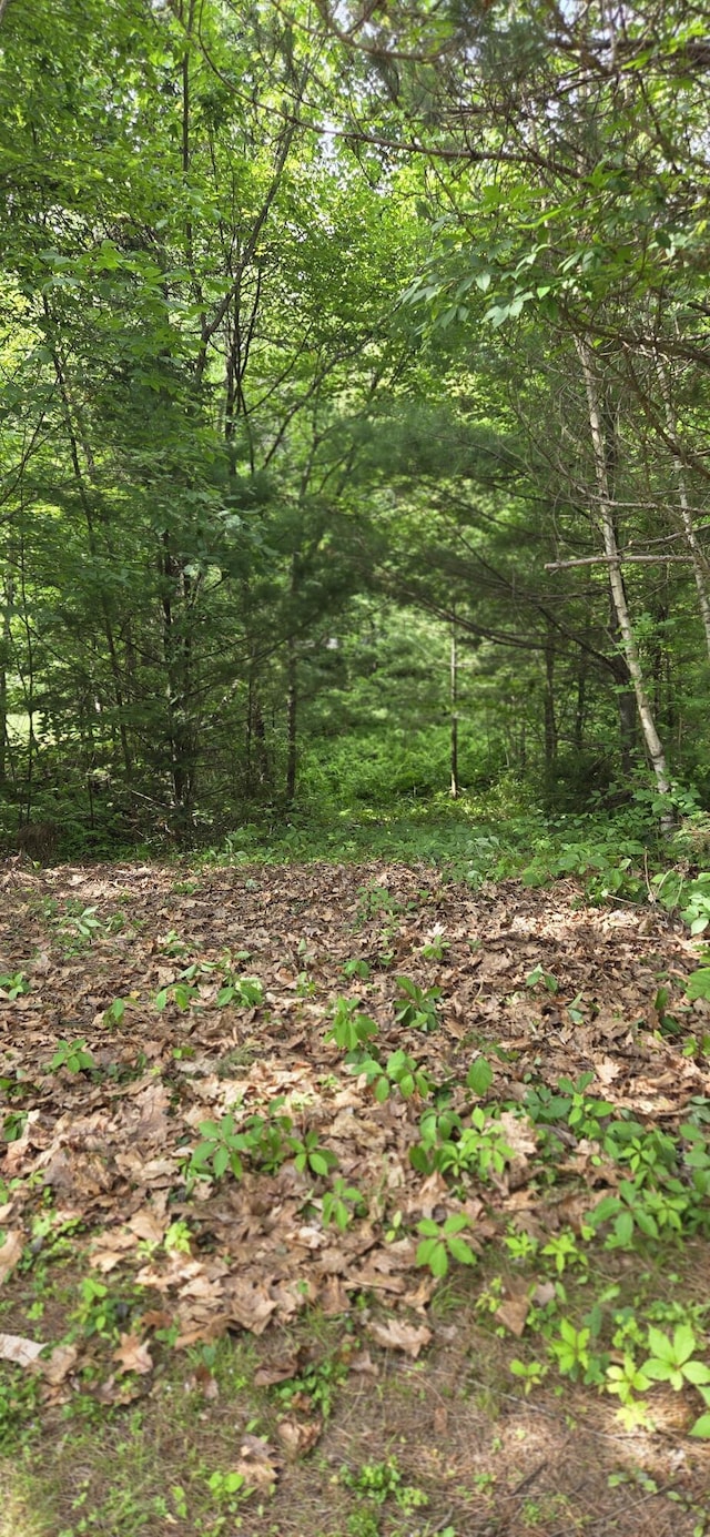 630 Franklin St, Rumford, ME 04276 - photo 34