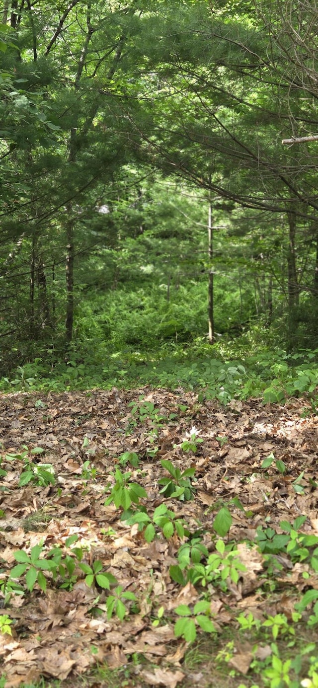 630 Franklin St, Rumford, ME 04276 - photo 35
