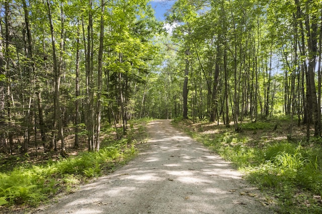 28 Grovers Xing, Freeport, ME 04032 - photo 61