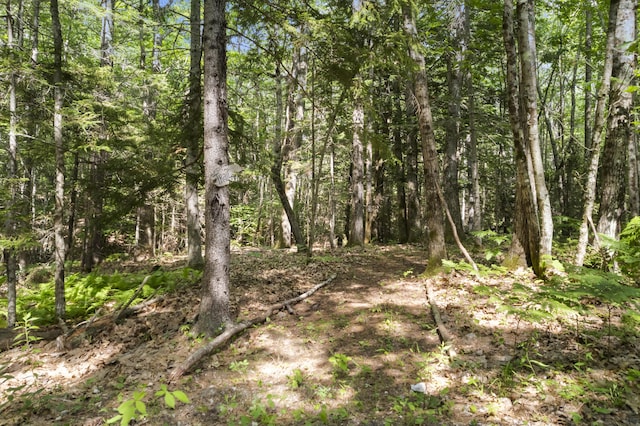 28 Grovers Xing, Freeport, ME 04032 - photo 68