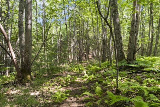 28 Grovers Xing, Freeport, ME 04032 - photo 70