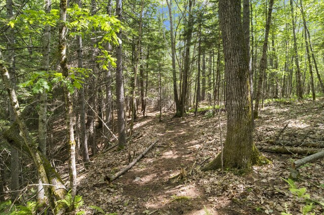 28 Grovers Xing, Freeport, ME 04032 - photo 69