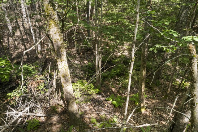 28 Grovers Xing, Freeport, ME 04032 - photo 71