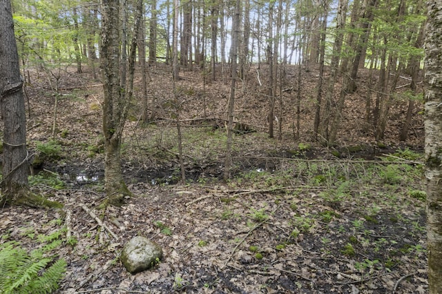 28 Grovers Xing, Freeport, ME 04032 - photo 72