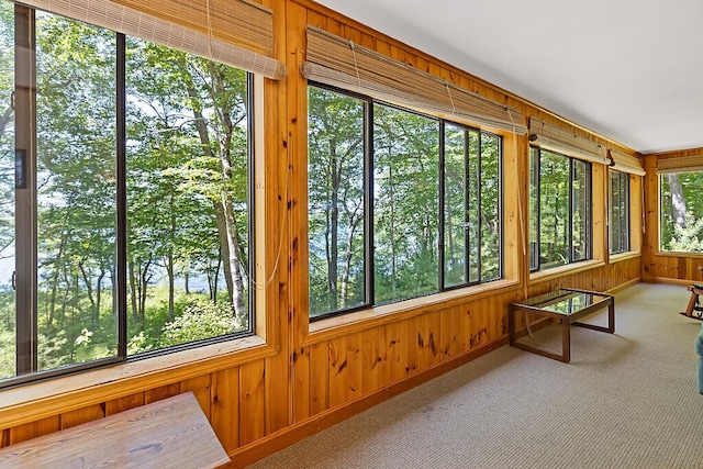 176 Perkins Beach Rd, Wayne, ME 04284 - unfurnished sunroom with wood walls and carpet floors