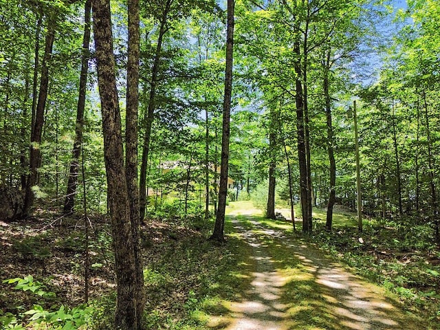 176 Perkins Beach Rd, Wayne, ME 04284 - view of street featuring a view of trees