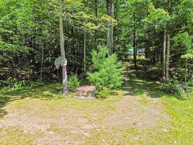 176 Perkins Beach Rd, Wayne, ME 04284 - view of yard