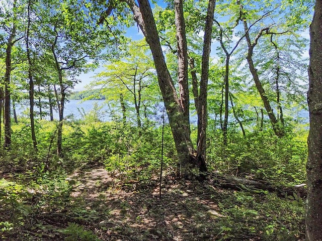 176 Perkins Beach Rd, Wayne, ME 04284 - view of wooded area