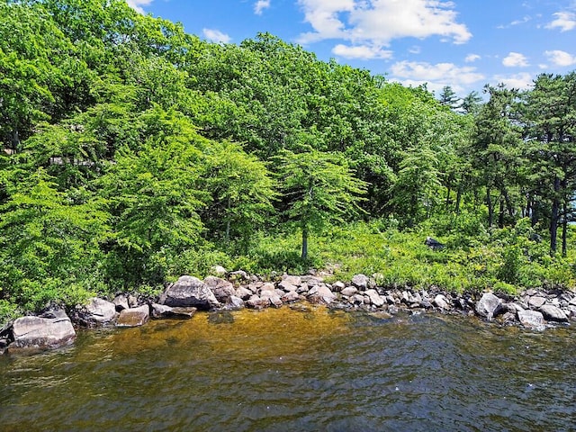 176 Perkins Beach Rd, Wayne, ME 04284 - water view with a heavily wooded area