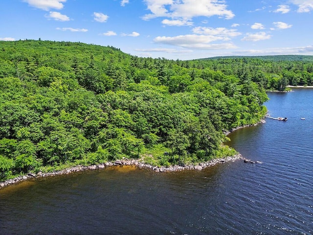 176 Perkins Beach Rd, Wayne, ME 04284 - aerial view of a forest and a nearby body of water