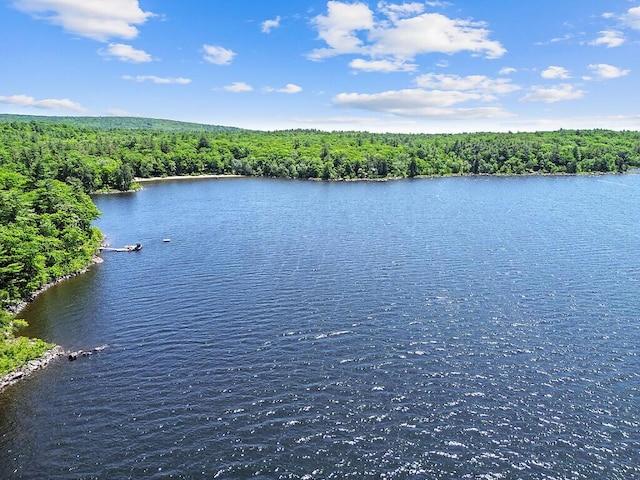176 Perkins Beach Rd, Wayne, ME 04284 - water view with a heavily wooded area