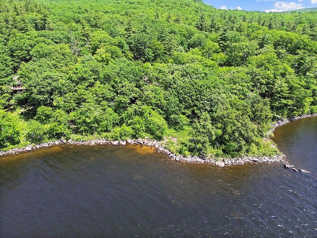 176 Perkins Beach Rd, Wayne, ME 04284 - view of property location featuring a forest and a large body of water