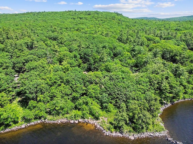 176 Perkins Beach Rd, Wayne, ME 04284 - aerial view of a heavily wooded area and a large body of water
