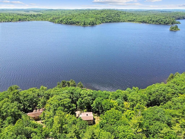 176 Perkins Beach Rd, Wayne, ME 04284 - drone / aerial view of a forest and a large body of water