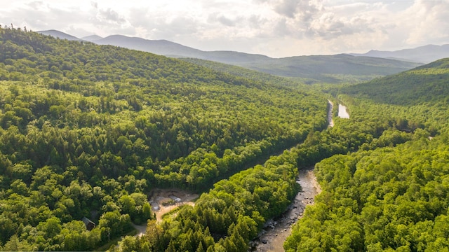 30 Hillside Dr, Kingfield, ME 04947 - view of mountain background featuring a forest