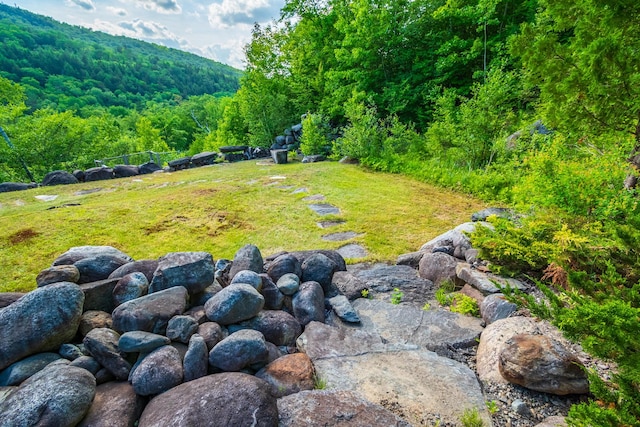 30 Hillside Dr, Kingfield, ME 04947 - view of green lawn with a forest view