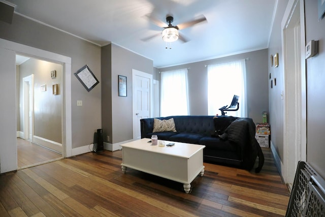 41 Dunn St, Auburn, ME 04210 - living room with ceiling fan, dark wood finished floors, and crown molding