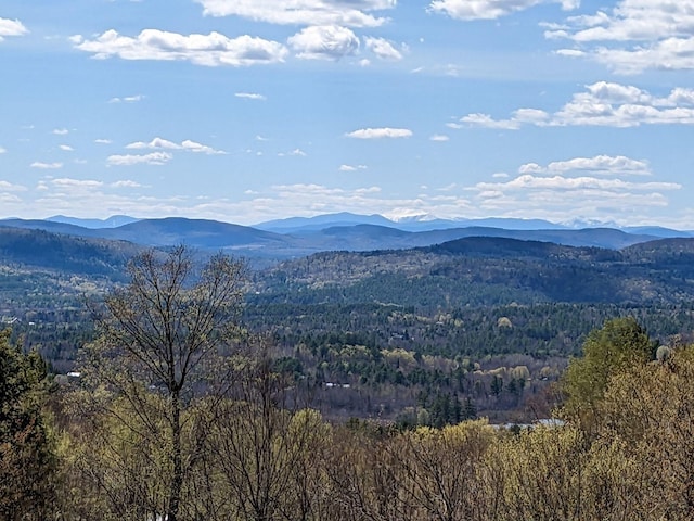 74 Tuelltown Rd, West Paris, ME 04289 - photo 5