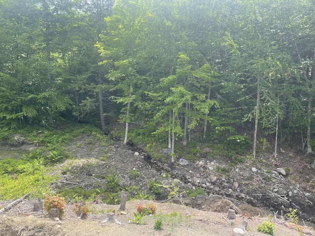 74 Tuelltown Rd, West Paris, ME 04289 - photo 7