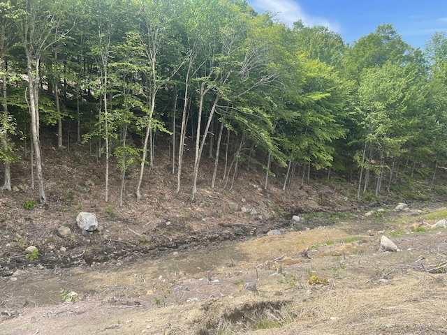 74 Tuelltown Rd, West Paris, ME 04289 - photo 9