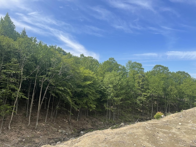 74 Tuelltown Rd, West Paris, ME 04289 - photo 18
