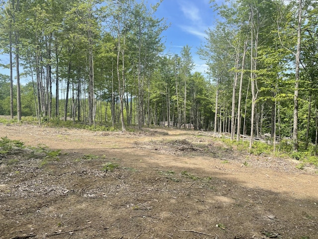 74 Tuelltown Rd, West Paris, ME 04289 - photo 21