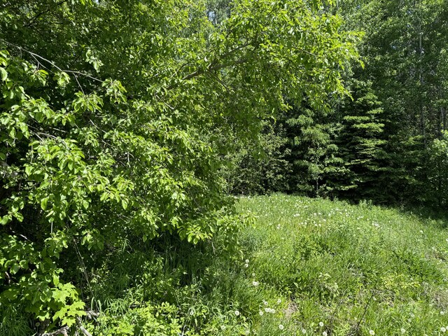 371 Main St, Stockholm, ME 04783 - photo 6