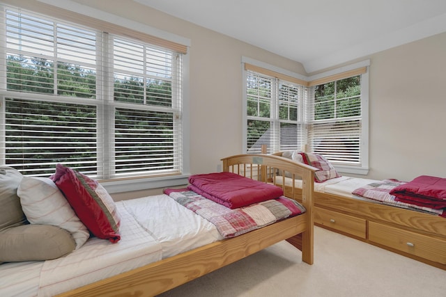 12 Evergreen Ln, Newry, ME 04261 - photo 41