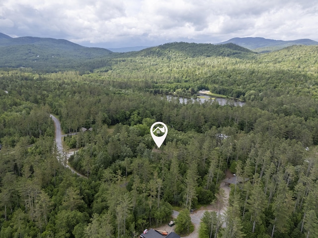 12 Evergreen Ln, Newry, ME 04261 - photo 55