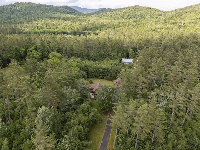 12 Evergreen Ln, Newry, ME 04261 - photo 56