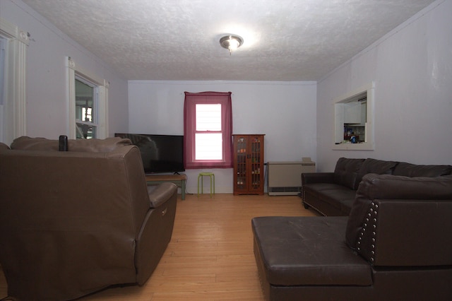 30 Burnham St, Old Town, ME 04468 - living room featuring a textured ceiling, light wood finished floors, radiator, and ornamental molding