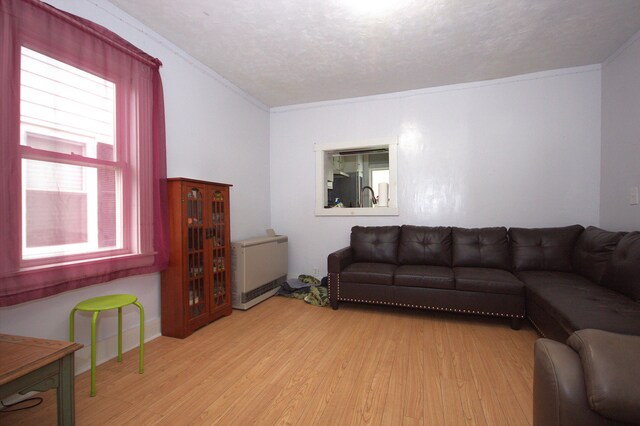 30 Burnham St, Old Town, ME 04468 - living area featuring wood finished floors and ornamental molding