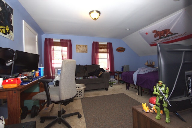 30 Burnham St, Old Town, ME 04468 - office space featuring carpet floors and vaulted ceiling