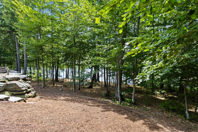 397 Cape Monday Rd, Harrison, ME 04040 - photo 88